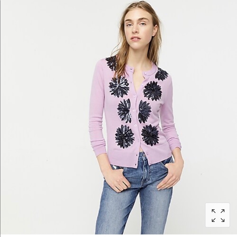 Jcrew Jacqueline Sequin Sweater